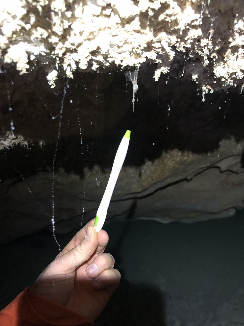 A hand holds a marker near dripping mineral formations in a dark, damp cave, evoking subsurface fieldwork